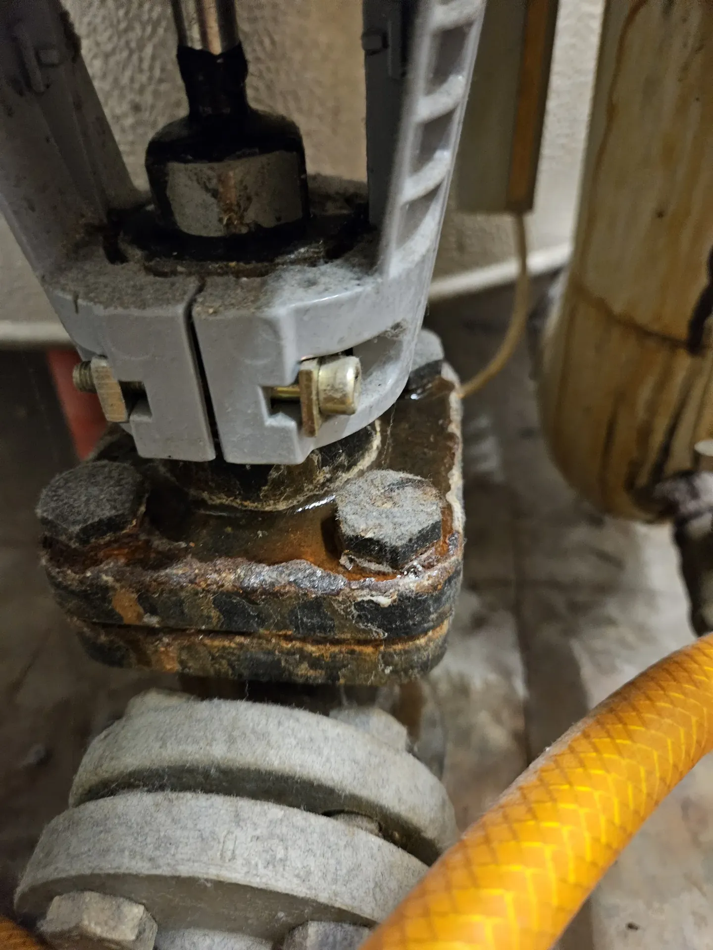 Hauswartung Basel – Bild 8