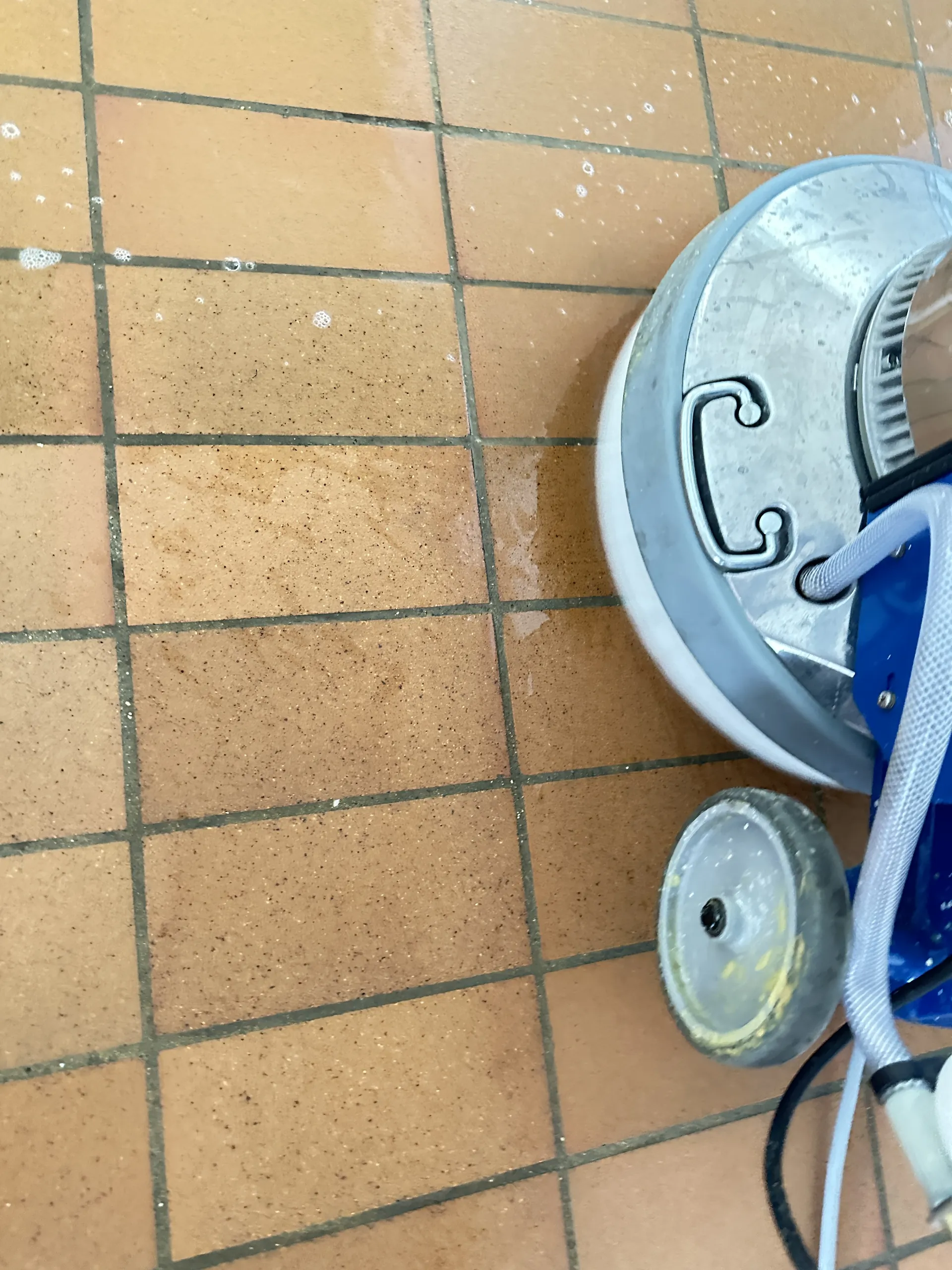 Spezialreinigung und Bodenpflege Basel – Bild 4