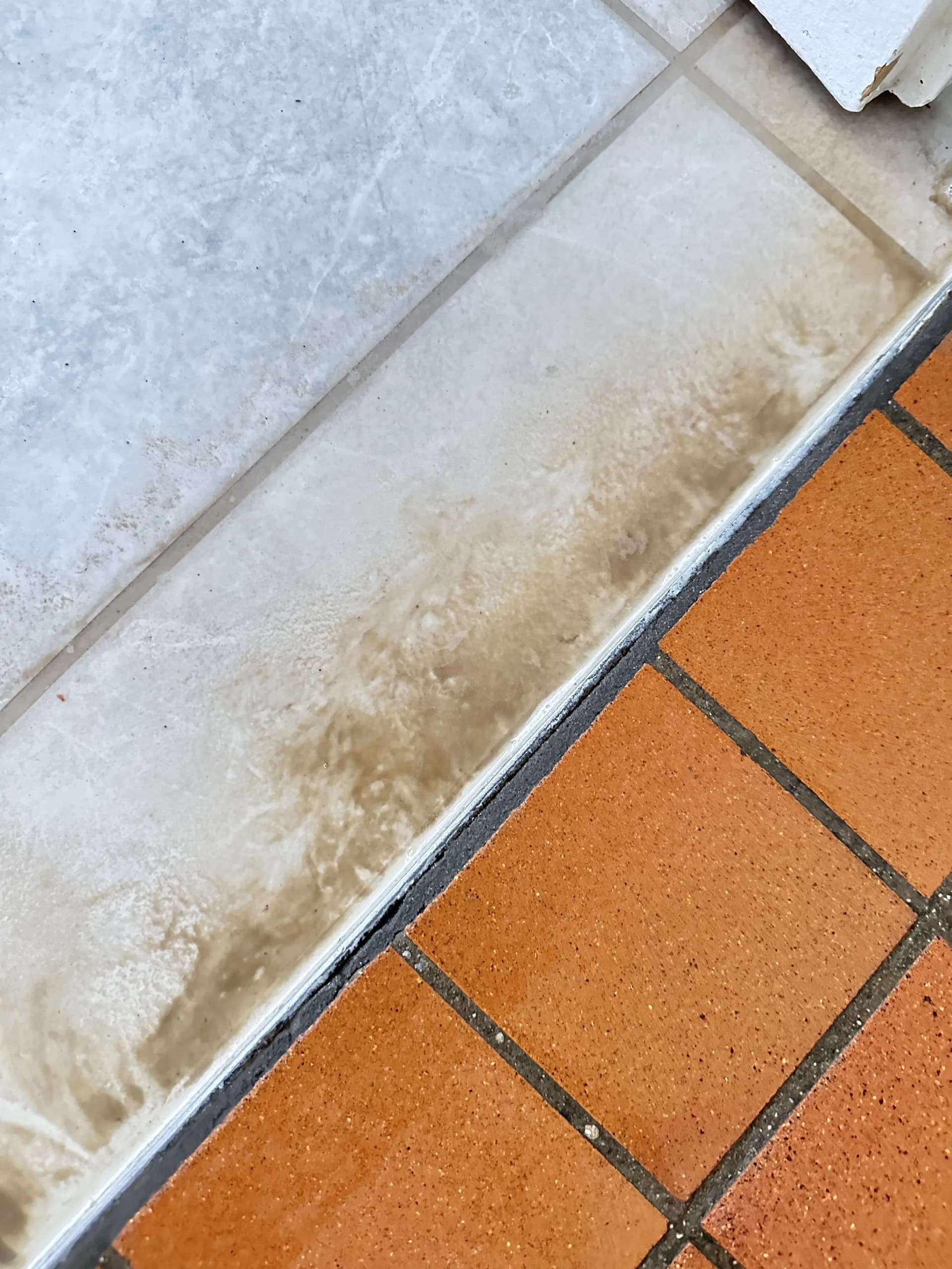 Spezialreinigung und Bodenpflege Basel – Bild 5